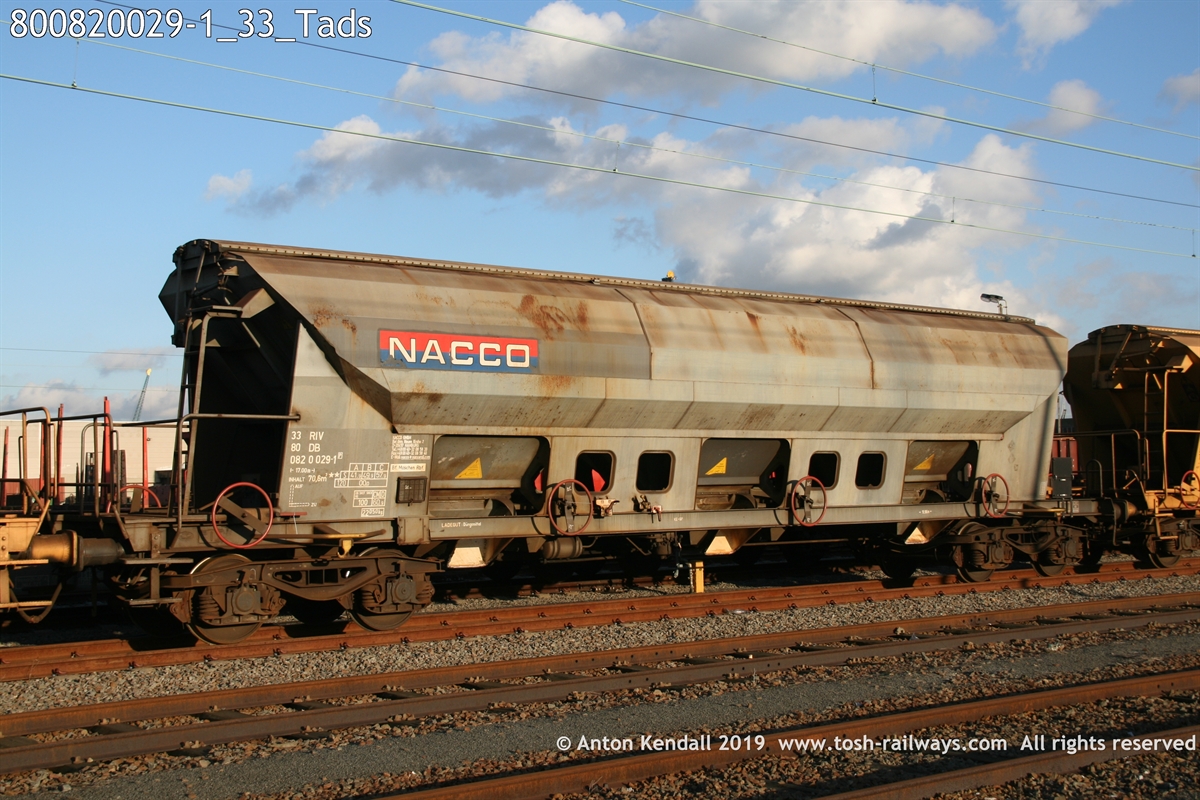 800820029-1_33_Tads.jpg